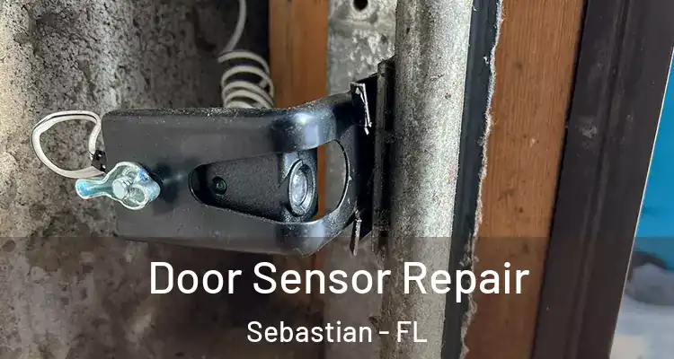 Door Sensor Repair Sebastian - FL